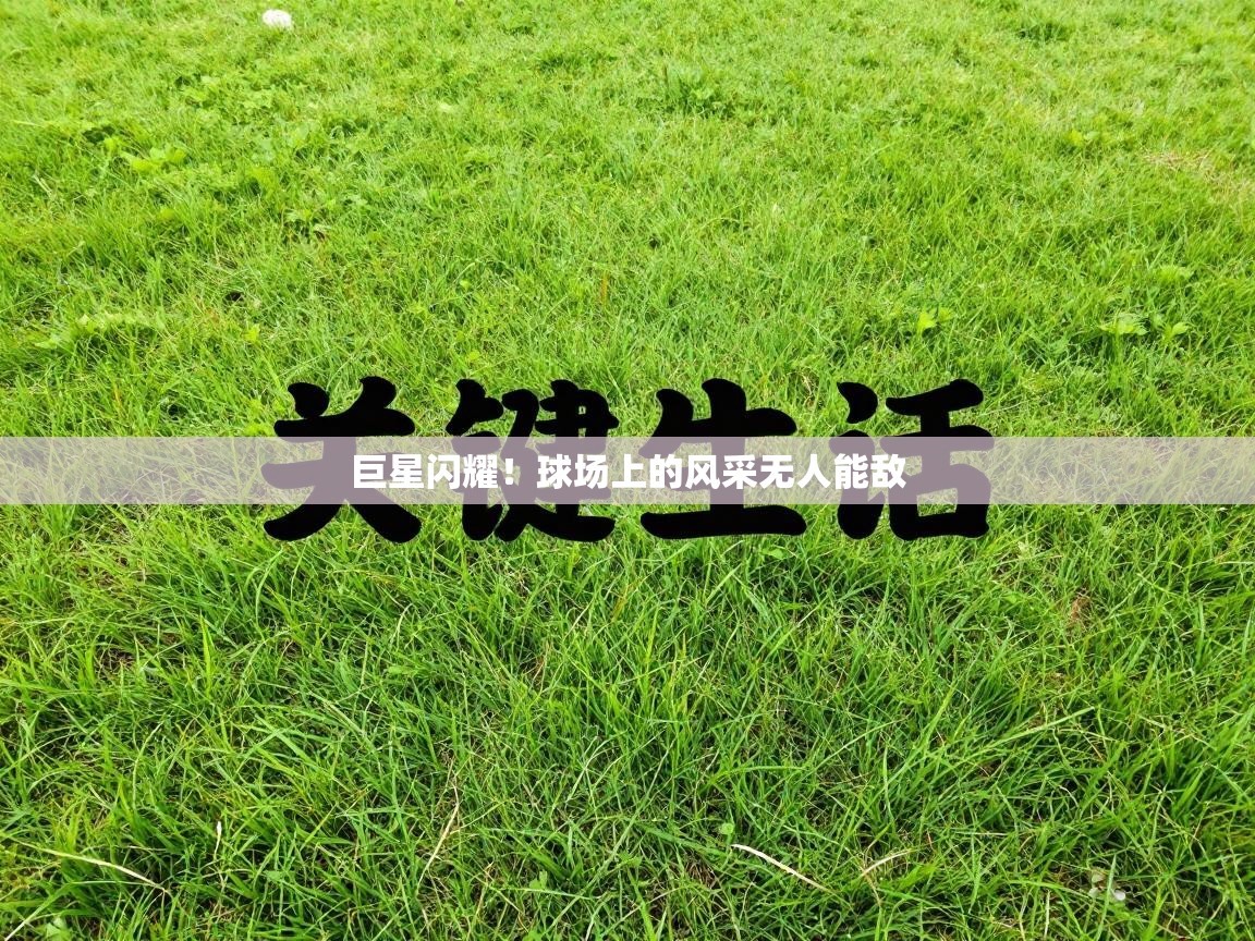 巨星闪耀!球场上的风采无人能敌 第2张