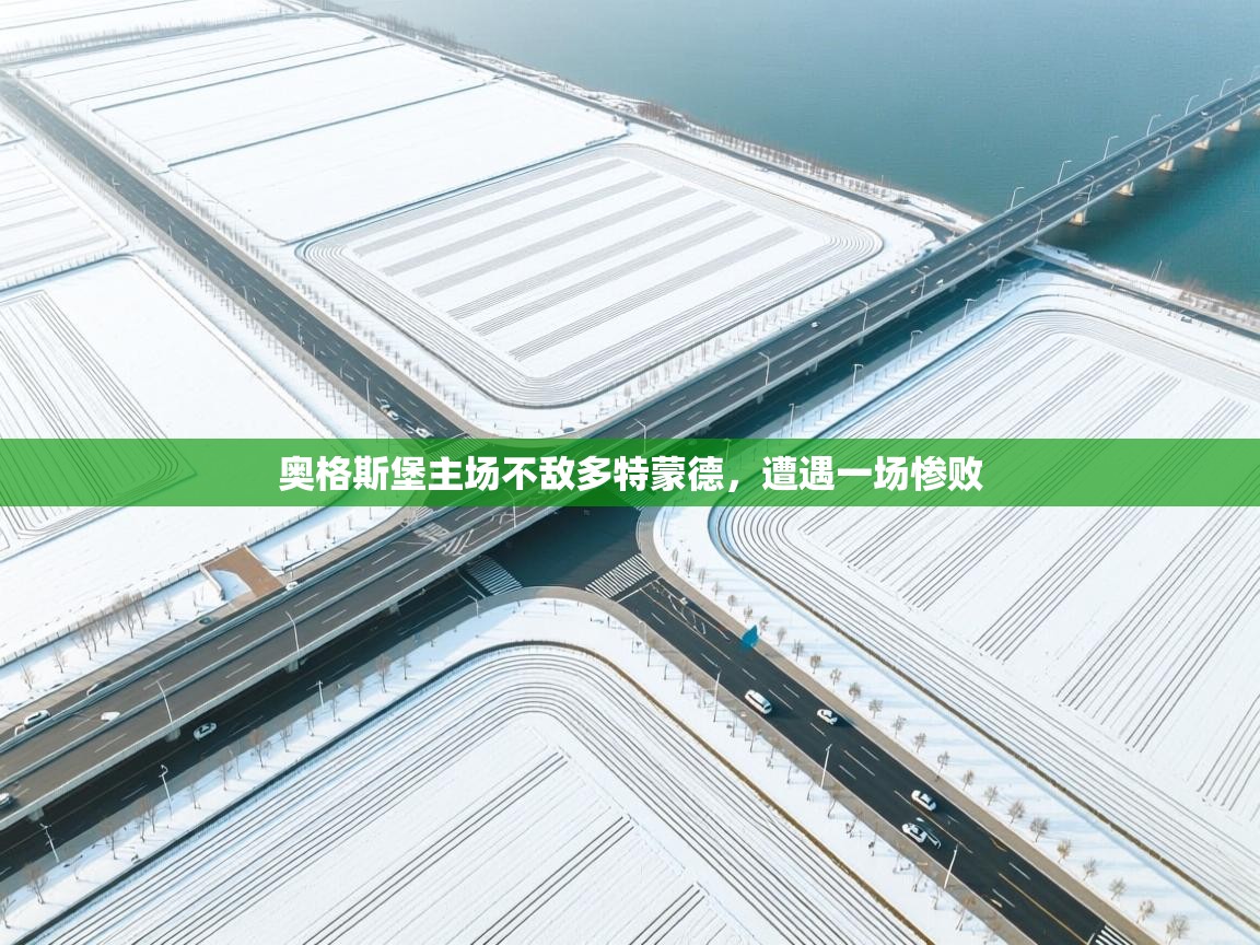 奥格斯堡主场不敌多特蒙德，遭遇一场惨败  第2张